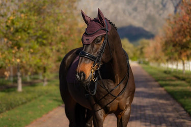 LeMieux Essence Fly Hood Damson| Online For Equine