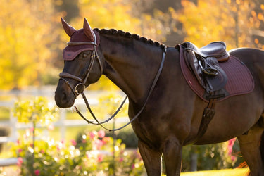 LeMieux Essence Fly Hood Damson| Online For Equine