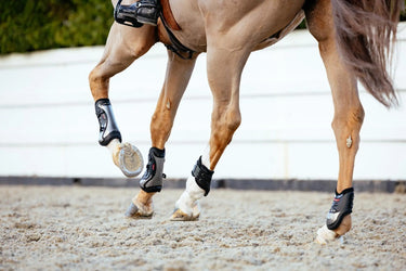 LeMieux Exo-Flex® Ankle Boot Black/Silver| Online For Equine