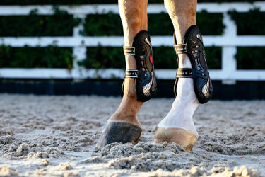 LeMieux Exo-Flex® Tendon Boot Black/Silver| Online For Equine