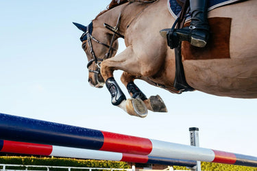 LeMieux Exo-Flex® Tendon Boot Black/Silver| Online For Equine