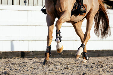 LeMieux Exo-Flex® Tendon Boot Black/Silver| Online For Equine