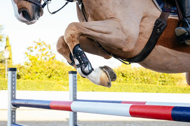 LeMieux Exo-Flex® Tendon Boot Black/Silver| Online For Equine