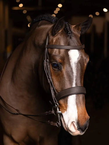 LeMieux Flat Hunter Bridle with Laced Reins Havana/Silver| Online For Equine