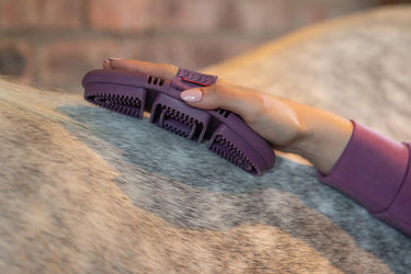 LeMieux Flexi Curry Comb Powder Blue| Online For Equine