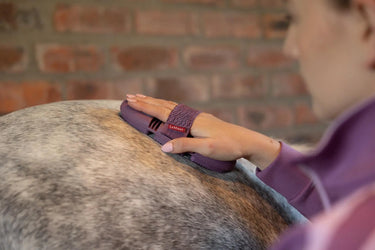 LeMieux Flexi Curry Comb Powder Blue| Online For Equine