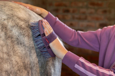 LeMieux Flexi Flicky Brush Powder Blue| Online For Equine