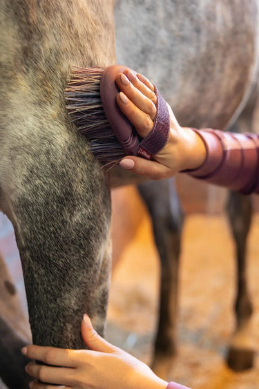 LeMieux Flexi Flicky Brush Powder Blue| Online For Equine