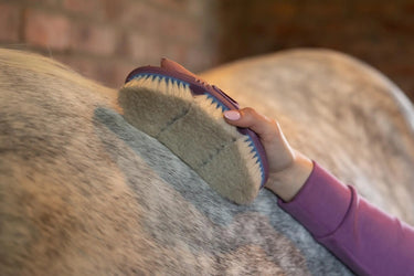 LeMieux Flexi Goat Hair Body Brush Powder Blue| Online For Equine