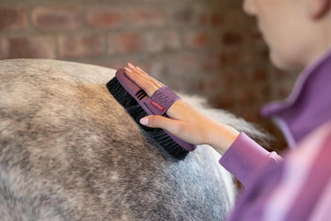 LeMieux Flexi Horse Hair Body Brush Powder Blue| Online For Equine
