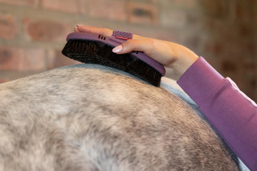 LeMieux Flexi Horse Hair Body Brush Powder Blue| Online For Equine