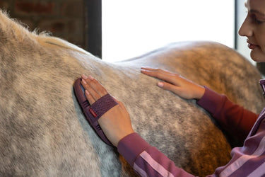 LeMieux Flexi Massage Brush Powder Blue| Online For Equine