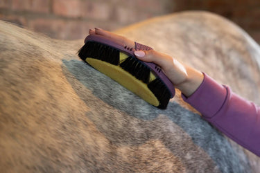 LeMieux Flexi Sponge Brush Powder Blue| Online For Equine