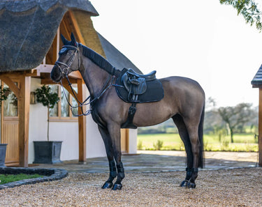 LeMieux GP Work Pad Black| Online For Equine