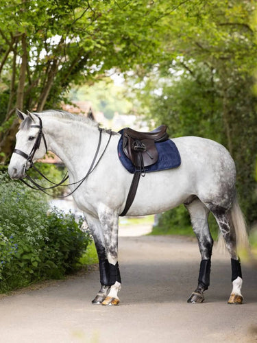 LeMieux GP Work Pad Navy| Online For Equine