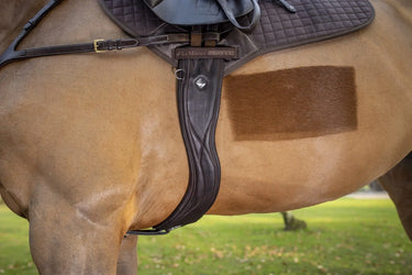 Buy LeMieux Gel-Tek Anatomic Curve Jumping Girth| Online for Equine