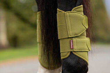 LeMieux Gooseberry Arika Mesh Brushing Boots Gooseberry| Online For Equine