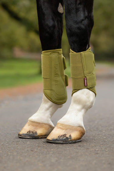 LeMieux Gooseberry Arika Mesh Brushing Boots Gooseberry| Online For Equine