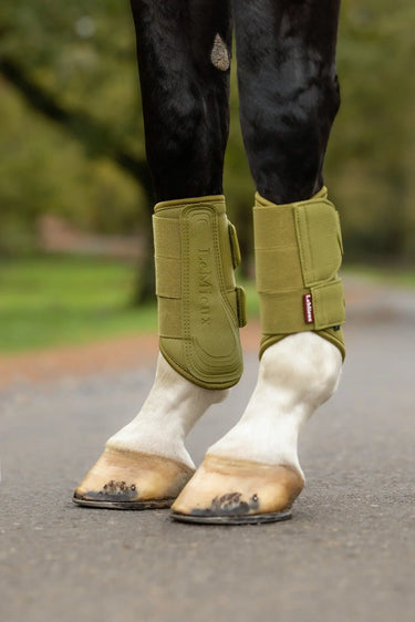 LeMieux Gooseberry Arika Mesh Brushing Boots Gooseberry| Online For Equine