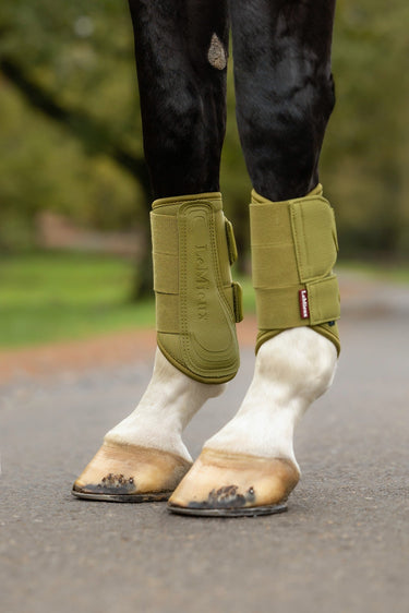 LeMieux Gooseberry Arika Mesh Brushing Boots Gooseberry| Online For Equine