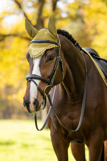 LeMieux Gooseberry Classic Fly Hood Gooseberry| Online For Equine
