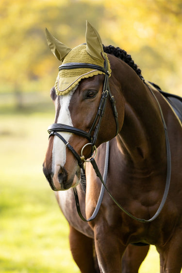LeMieux Gooseberry Classic Fly Hood Gooseberry| Online For Equine