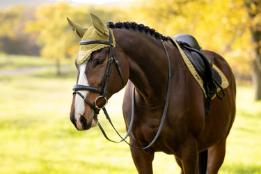 LeMieux Gooseberry Classic Fly Hood Gooseberry| Online For Equine