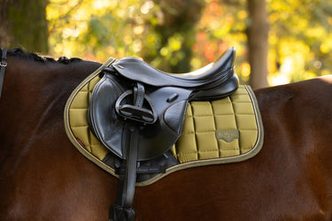 LeMieux Gooseberry Loire Classic Close Contact Square Gooseberry| Online For Equine