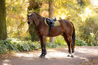 LeMieux Gooseberry Loire Classic Close Contact Square Gooseberry| Online For Equine