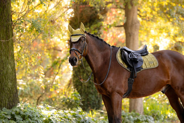 LeMieux Gooseberry Loire Classic Close Contact Square Gooseberry| Online For Equine