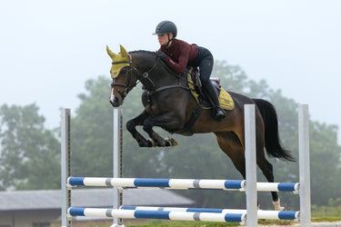 LeMieux Gooseberry Loire Classic Close Contact Square Gooseberry| Online For Equine