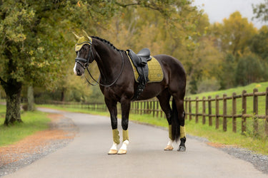 LeMieux Gooseberry Loire Classic Dressage Square Gooseberry| Online For Equine