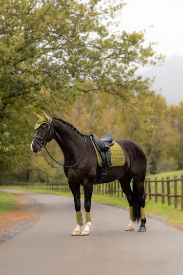 LeMieux Gooseberry Loire Classic Dressage Square Gooseberry| Online For Equine