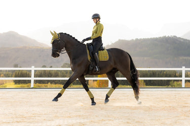 LeMieux Gooseberry Loire Classic Dressage Square Gooseberry| Online For Equine