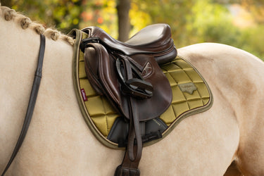 LeMieux Gooseberry Loire Classic GP Square Gooseberry| Online For Equine