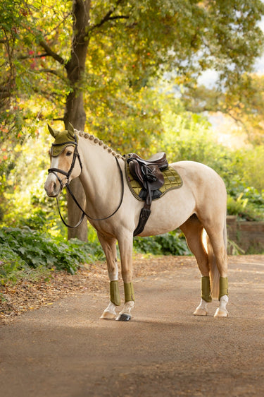 LeMieux Gooseberry Loire Classic GP Square Gooseberry| Online For Equine