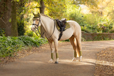 LeMieux Gooseberry Loire Classic GP Square Gooseberry| Online For Equine