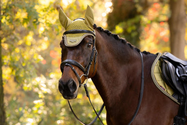 LeMieux Gooseberry Loire Fly Hood Gooseberry| Online For Equine