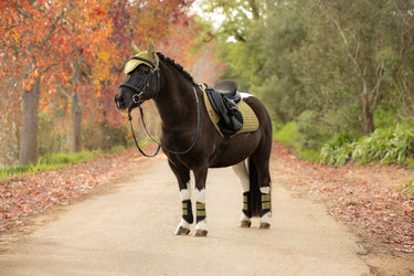 LeMieux Gooseberry Suede Close Contact Square Gooseberry| Online For Equine