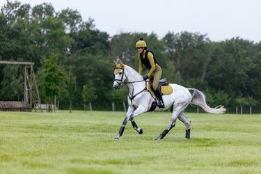 LeMieux Gooseberry Suede Close Contact Square Gooseberry| Online For Equine