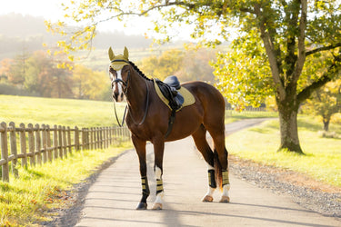 LeMieux Gooseberry Suede Close Contact Square Gooseberry| Online For Equine