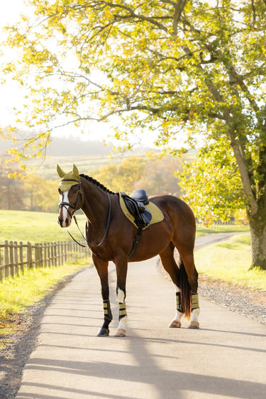 LeMieux Gooseberry Suede Close Contact Square Gooseberry| Online For Equine