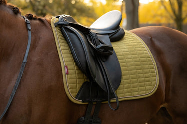 LeMieux Gooseberry Suede Dressage Square Gooseberry| Online For Equine