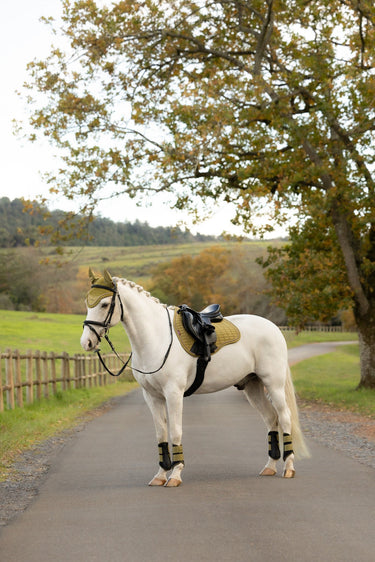 LeMieux Gooseberry Suede GP Square Gooseberry| Online For Equine