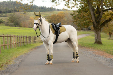LeMieux Gooseberry Suede GP Square Gooseberry| Online For Equine