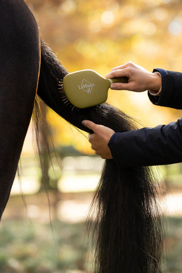 LeMieux Gooseberry Tangle Tidy Gooseberry| Online For Equine