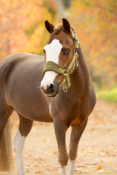 LeMieux Gooseberry Vogue Headcollar & Leadrope Gooseberry| Online For Equine