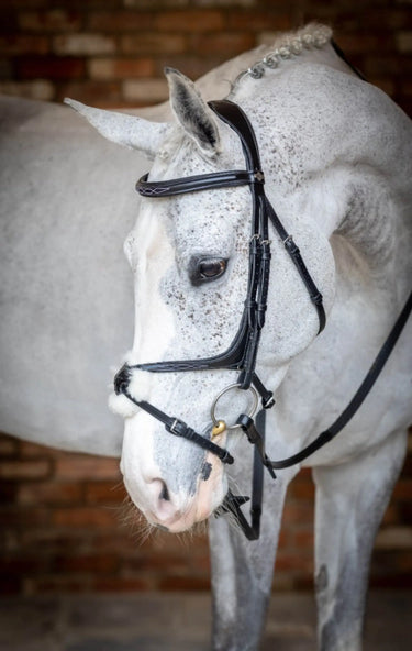 Buy LeMieux Grackle Bridle| Online for Equine