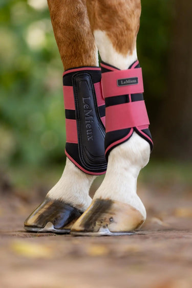 LeMieux Grafter Brushing Boots Cranberry| Online For Equine