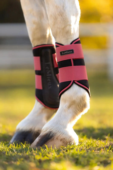 LeMieux Grafter Brushing Boots Cranberry| Online For Equine